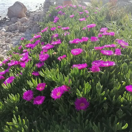 Aqua Blue Βίλα Λουτρά Ελευθερών