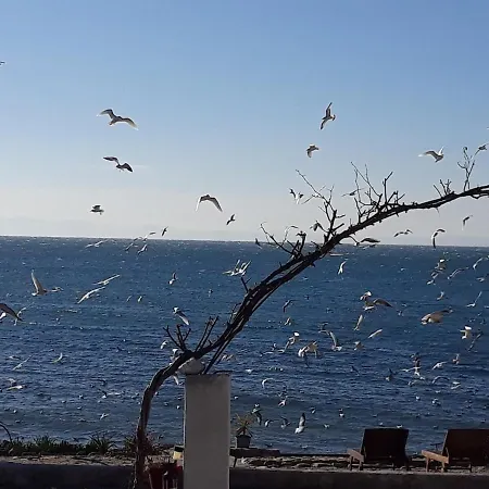 Aqua Blue Λουτρά Ελευθερών