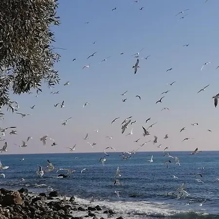 Aqua Blue * Λουτρά Ελευθερών