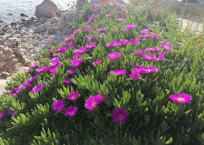 Aqua Blue Villa Loutra Elevtheron