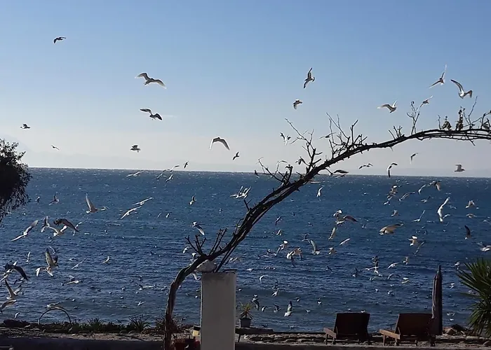 Aqua Blue Loutra Elevtheron