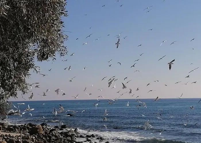 Aqua Blue * Loutra Elevtheron