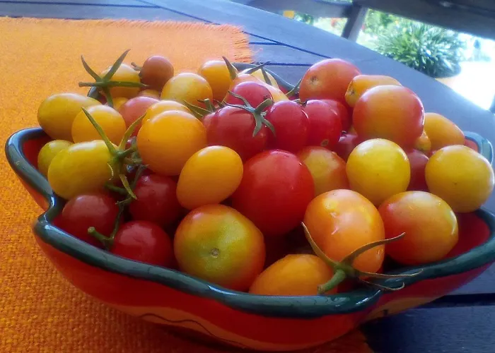 Aqua Blue Villa Loutra Elevtheron